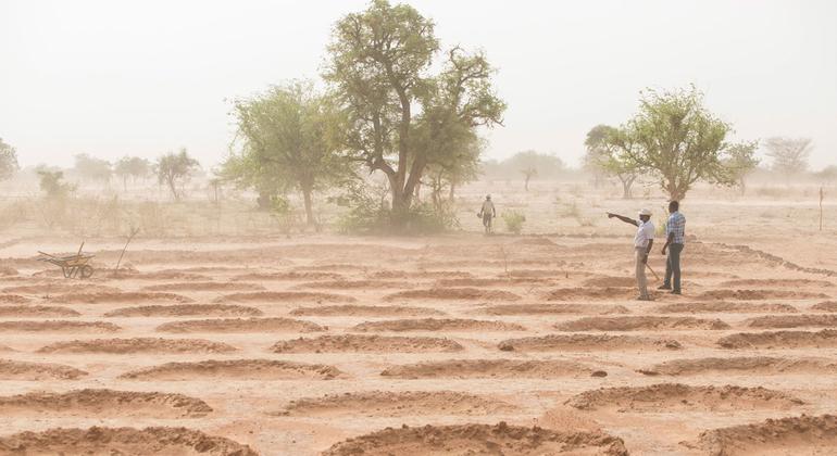 Innovation et tradition ramènent à la vie les terres africaines dégradées